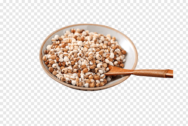 Гречневая каша вектор