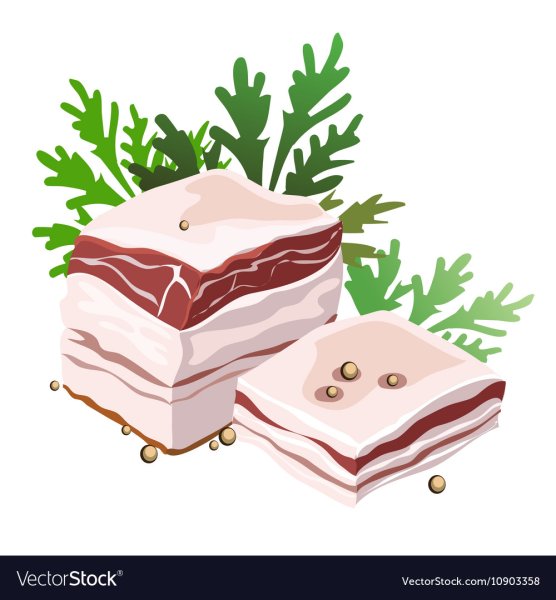 Сало рисунок