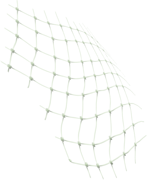 Сетка на прозрачном фоне