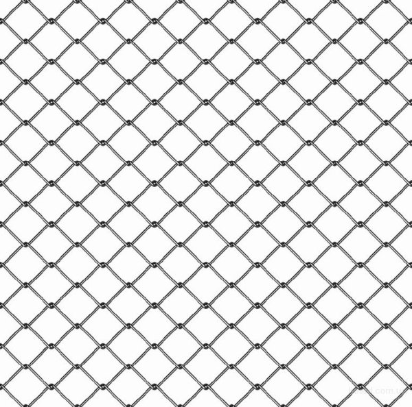 Сетка рабица 20х20