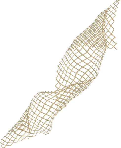 Сетка на прозрачном фоне