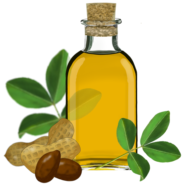 Растительное масло рисунок