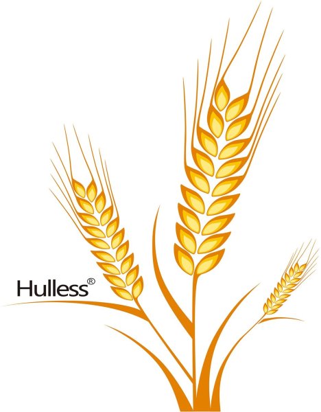 Колоски Графика