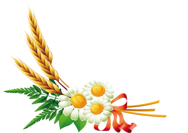 Рамка с колосьями пшеницы