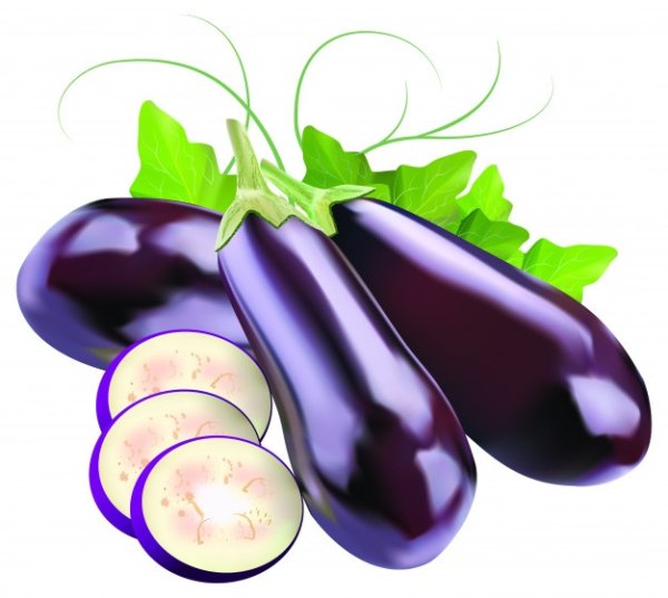 Баклажан для дошкольников