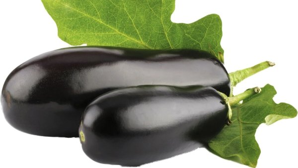 Баклажан на белом фоне