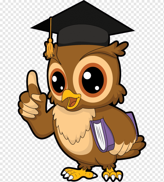 Мудрая Сова