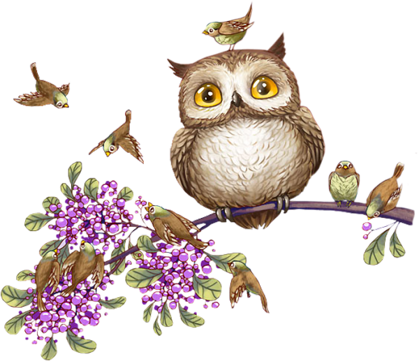 Совушки на ветке