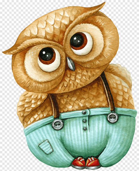 Сова иллюстрация