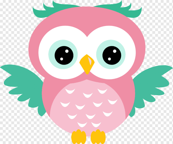 Совушки на прозрачном фоне
