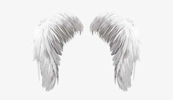 Ангельские Крылья для фотошопа