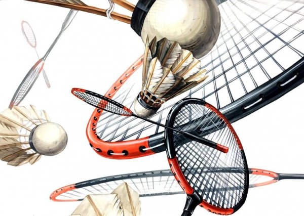 Бадминтон Графика