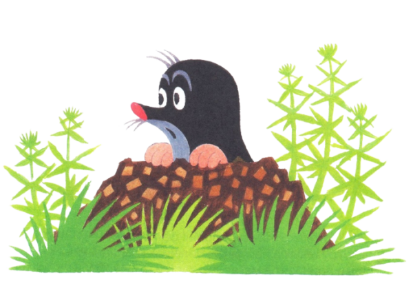 Крот для детей