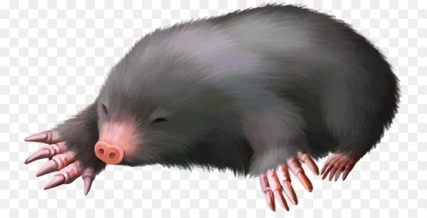 Крот без фона