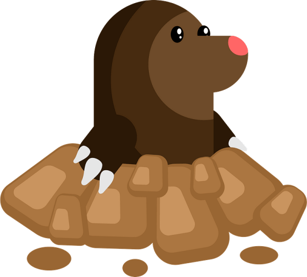 Крот вектор