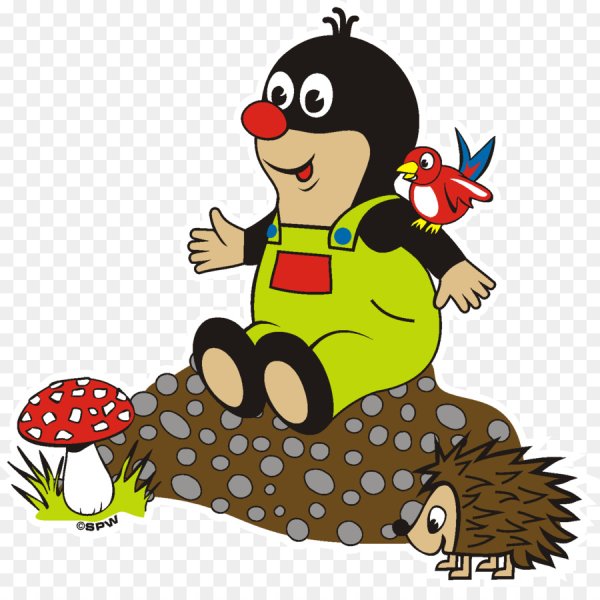 Крот рисунок