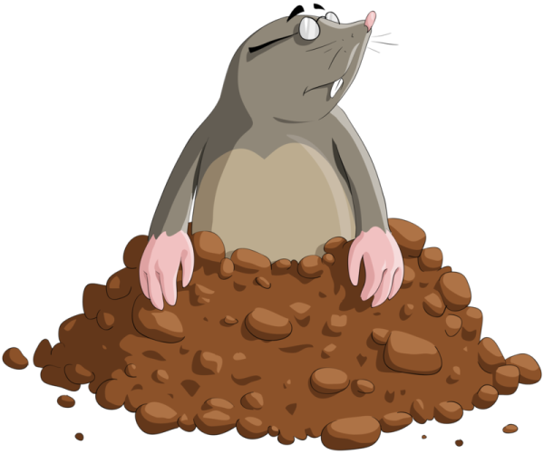 Бедняга Крот Агния Барто