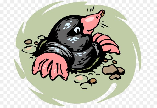 Изображение крота для детей