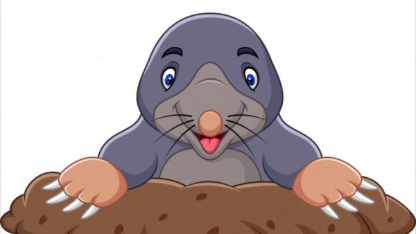 Крот для детей вектор