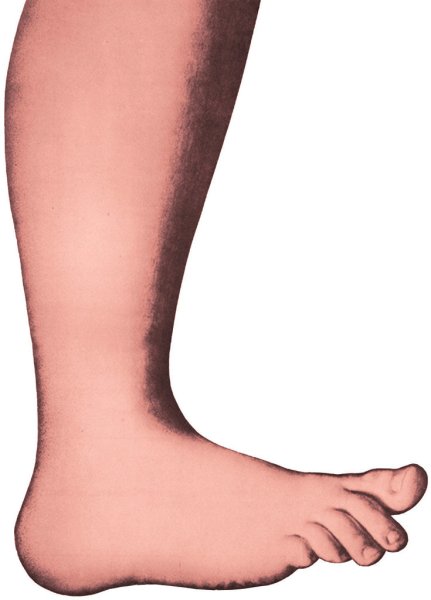 Ноги без фона