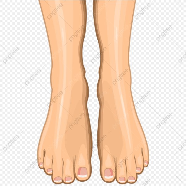 Женская стопа вектор