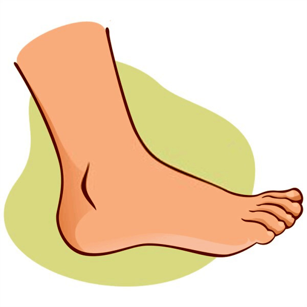 Ступня сбоку