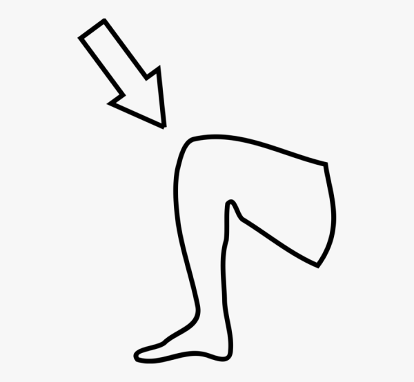 Раскраска колено