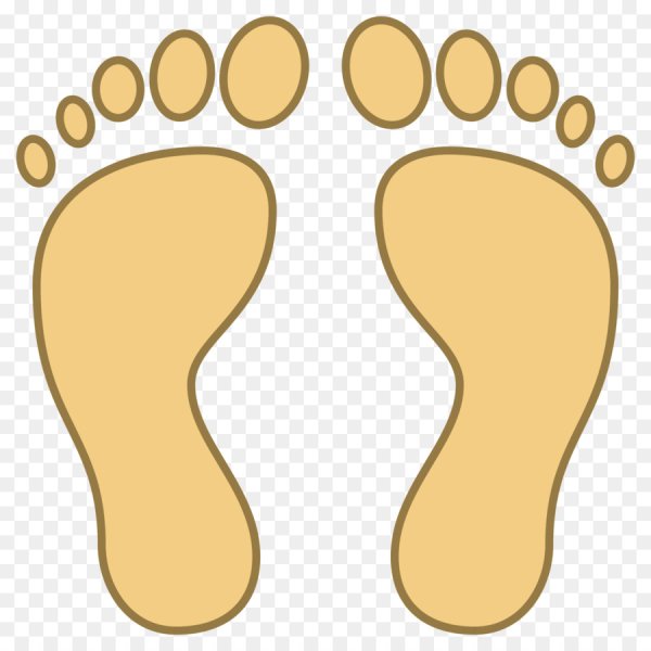 Стопа на прозрачном фоне