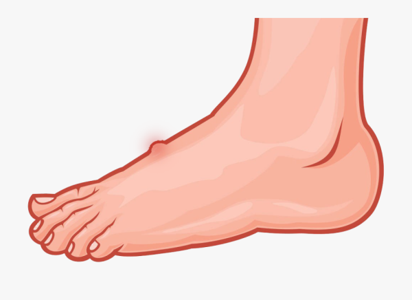 Контур ступни