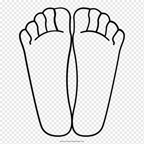 Очертание ноги