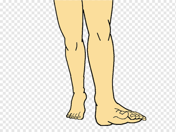 Руки и ноги мультяшные женского