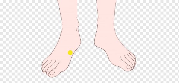 Женские ноги