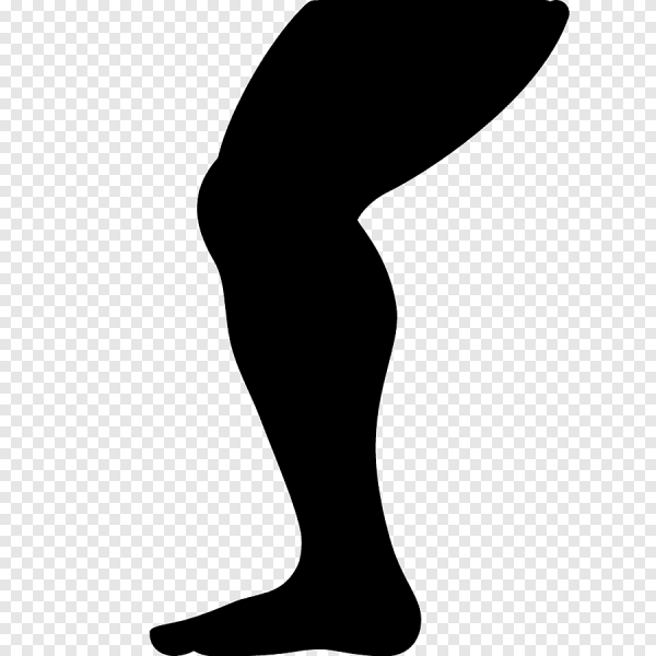 Контур стопы