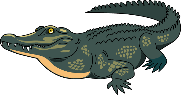 Крокодил с боку