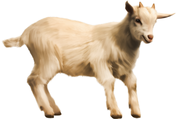 Козленок для детей