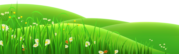 Травка с цветочками