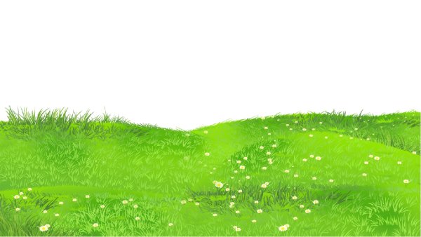 Поляна с цветами вектор