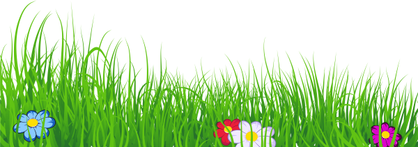 Лужайка на прозрачном фоне