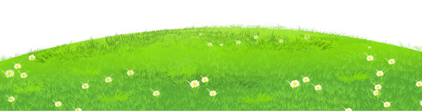 Зеленая лужайка для детей