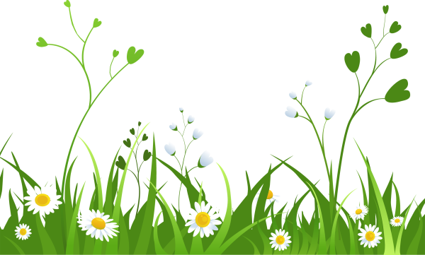 Трава на прозрачном фоне