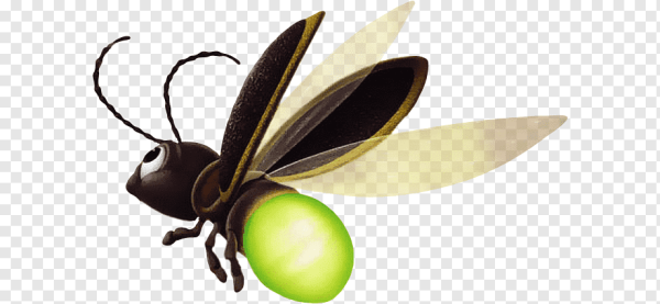 Грустный Светлячок