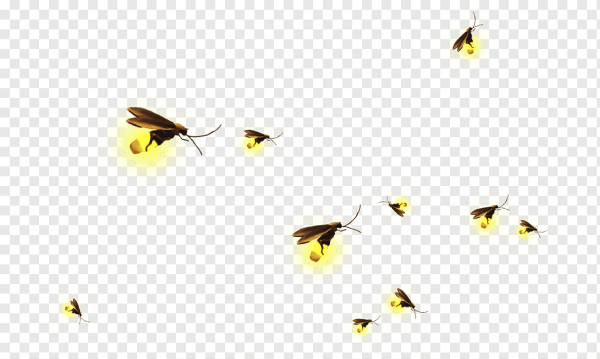 Светлячок мультяшный