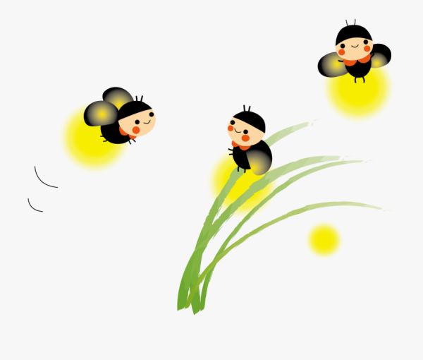 Светлячок Жук