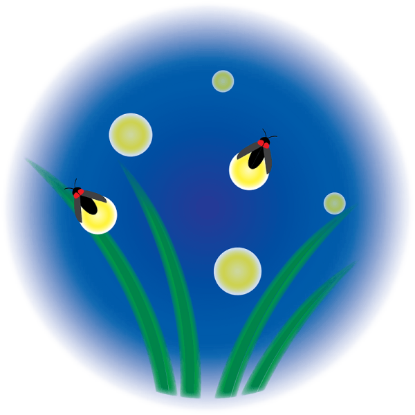 Бабочки мультяшные