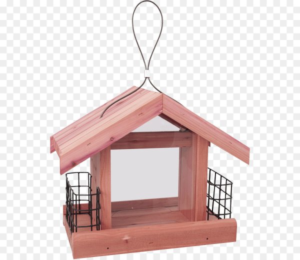 Кормушка для птиц для дошкольников