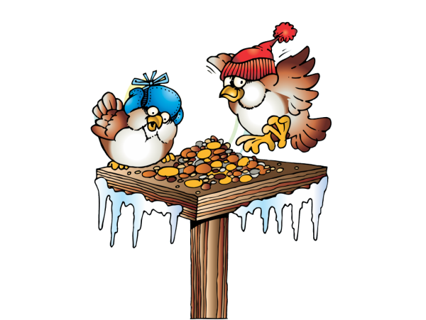 Птичья столовая для детей