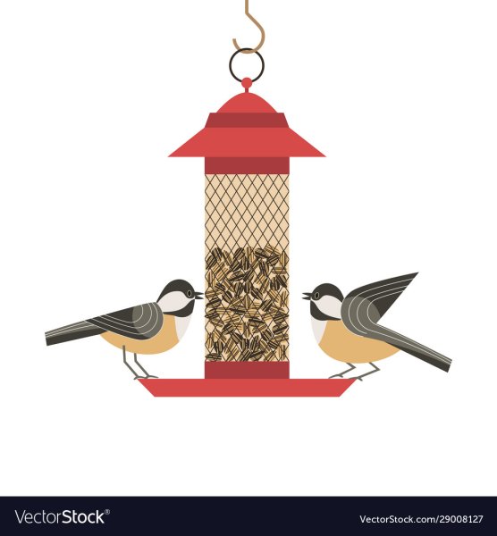 Кормушка для птиц вектор