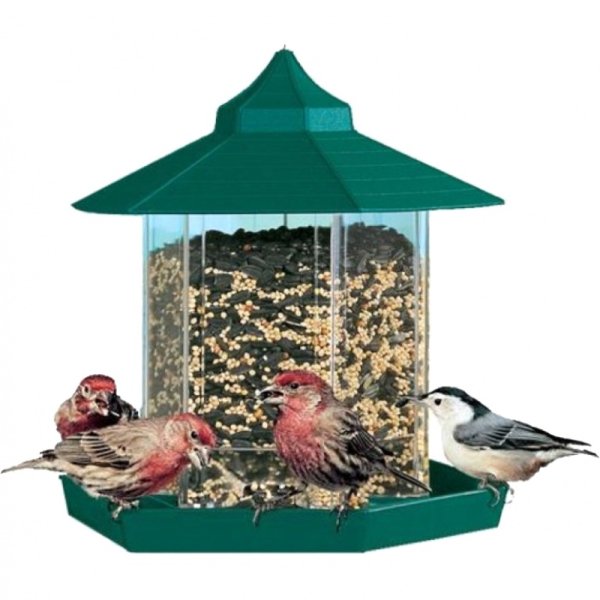 Кормушка для птиц на прозрачном фоне