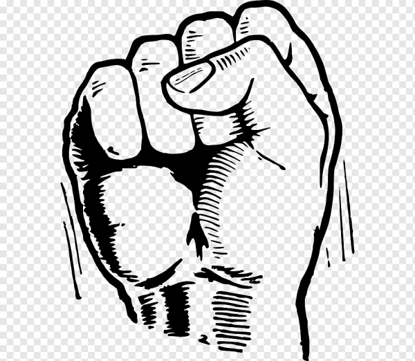 White Power fist (кулак белой власти)