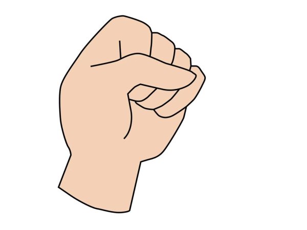 Кулачок на прозрачном фоне